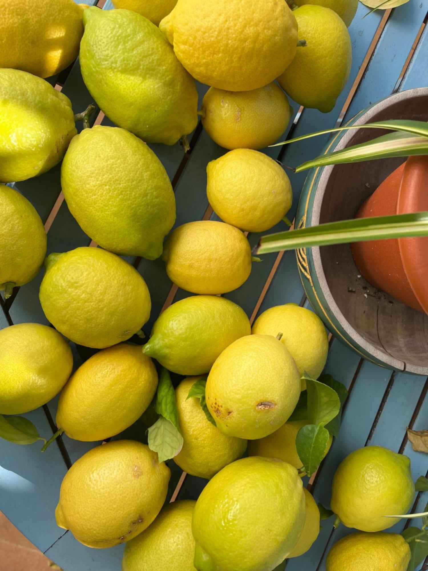 El Patio Del Limonero Villa Écija Екстериор снимка